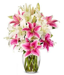 Flowers - White Lilies + Stargazer Lilies (Free Vase Included)