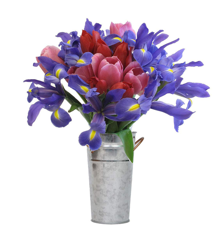 Stargazer Barn - Petite Bouquet of Tulips & Iris with Vase - Farm Fresh