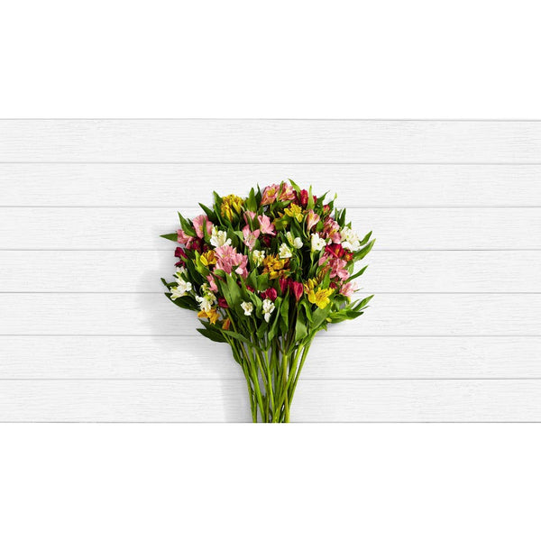 ProFlowers - Multi-Colored Lilies 100 Blooms of Peruvian Lilies w/Free Clear Vase - Flowers