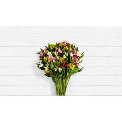 ProFlowers - Multi-Colored Lilies 100 Blooms of Peruvian Lilies w/Free Clear Vase - Flowers