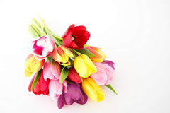 Flowers - Rainbow Tulip Bouquet - 15 Stems (Free Vase Included)