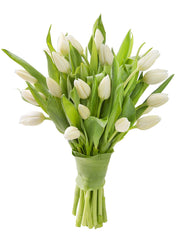 Blooms2Door 20 White Tulips (Farm-Fresh Flowers, Cut-to-Order, and Homegrown in the USA)