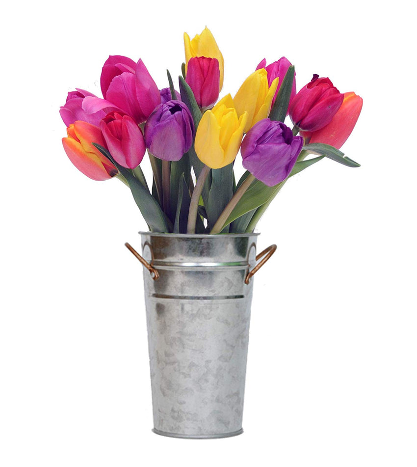 Stargazer Barn - Happy Bouquet - 15 Stems of Bright And Cheerful Tulips With Vase - Fresh From Farm