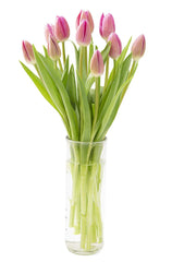 KaBloom Bouquet of Fresh Pink Tulips with Vase (Farm-Fresh, Cut-to-Order and Homegrown in the USA)