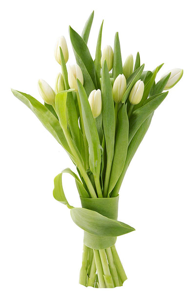 KaBloom Bouquet of Fresh White Tulips (Farm-Fresh, Cut-to-Order and Homegrown in the USA)