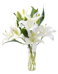 KaBloom Pure Love Bouquet of Fresh White Lilies with Vase