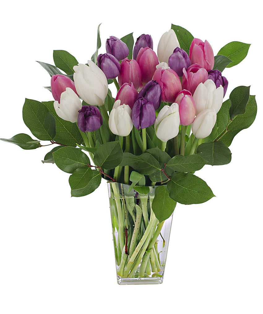 Stargazer Barn - Big Flirt Bouquet - 2 Dozen Assorted Tulips With Clear Vase - Farm Fresh