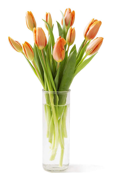 KaBloom Bouquet of Fresh Orange Tulips with Vase (Farm-Fresh, Cut-to-Order and Homegrown in the USA)