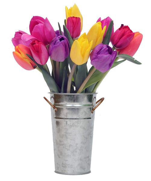 Stargazer Barn - Happy Bouquet - 15 Stems Fresh Tulips with Vase - Farm Direct