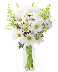 KaBloom Bountiful Beauty Bouquet of Fresh White Daisies with Vase