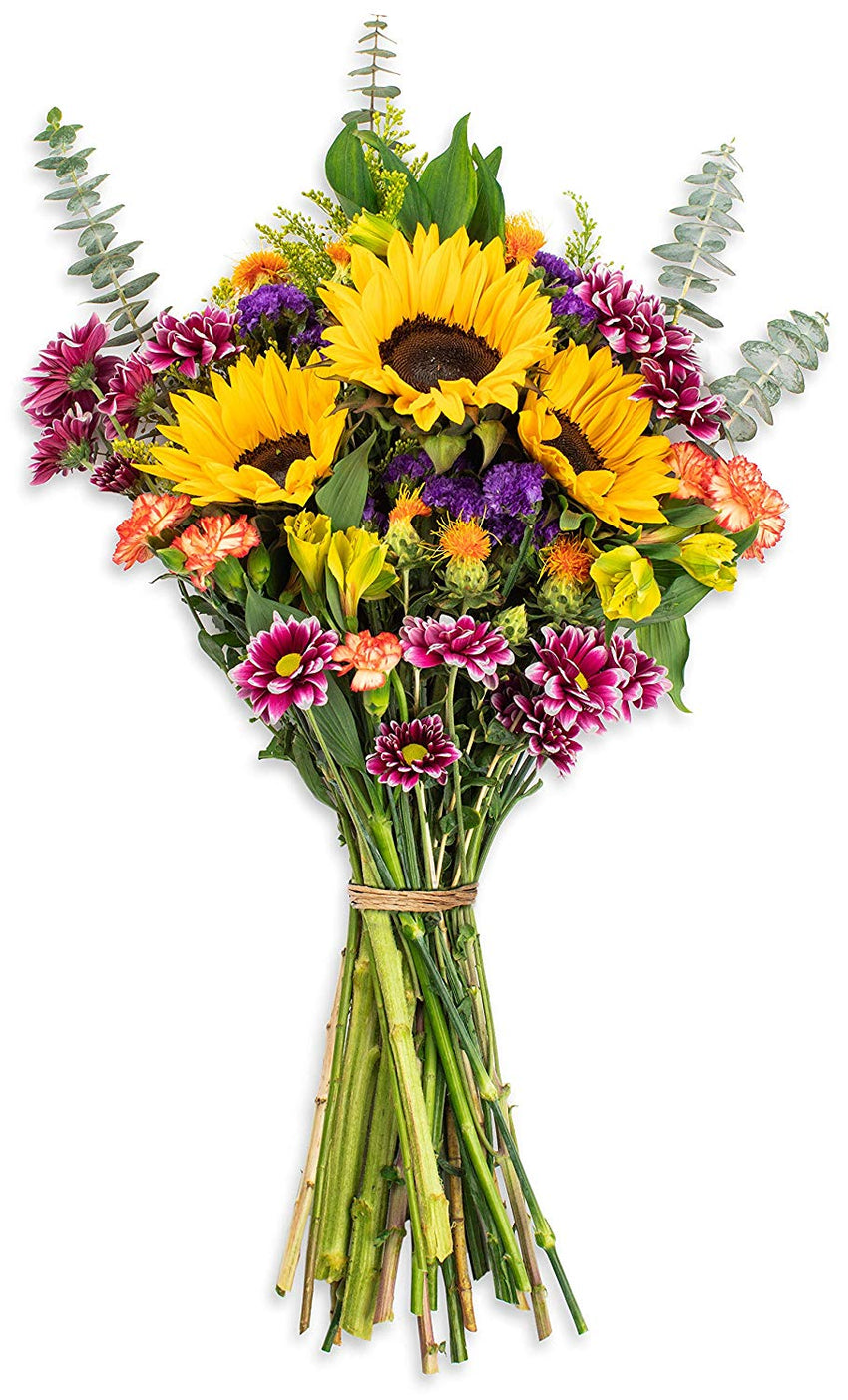 Benchmark Bouquets Flowering Fields, No Vase (Fresh Cut Flowers)