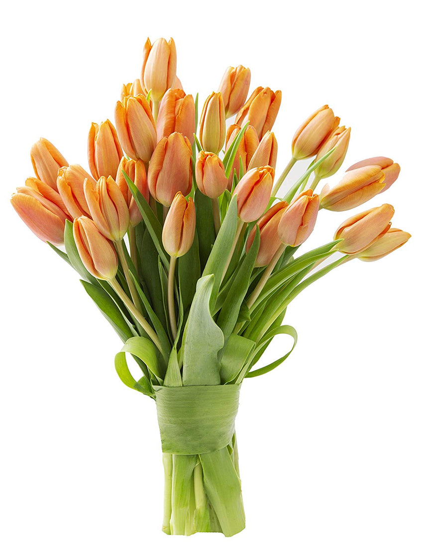 Blooms2Door 30 Orange Tulips (Farm-Fresh Flowers, Cut-to-Order, and Homegrown in the USA)