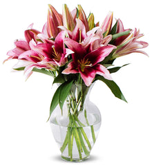 Benchmark Bouquets 8 Stem Stargazer Lily Bunch, With Vase (Fresh Cut Flowers)