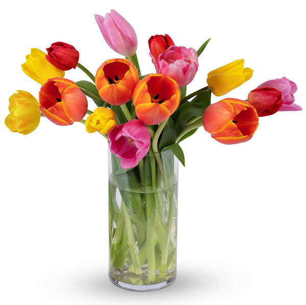 Benchmark Bouquets Multi-Colored Tulips, With Vase (Fresh Cut Flowers)