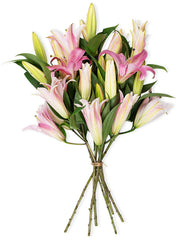 Benchmark Bouquets 8 Stem Stargazer Lily Bunch, No Vase (Fresh Cut Flowers)