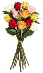 Benchmark Bouquets Dozen Rainbow Roses, No Vase (Fresh Cut Flowers)