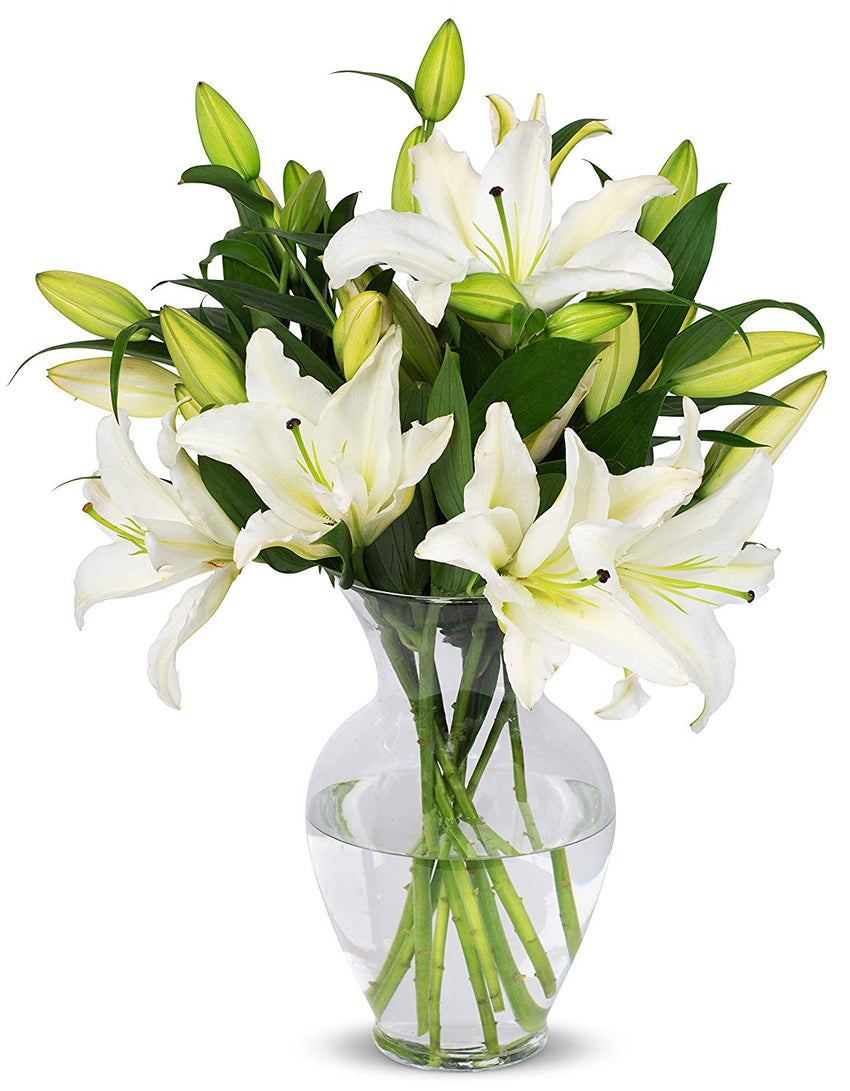 Benchmark Bouquets 8 Stem White Lily Bunch, With Vase (Fresh Cut Flowers)