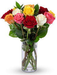 Benchmark Bouquets Dozen Rainbow Roses, With Vase (Fresh Cut Flowers)