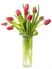 KaBloom Bouquet of Fresh Red Tulips with Vase (Farm-Fresh, Cut-to-Order and Homegrown in the USA)