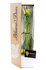 Blooms2Door 20 Yellow Tulips (Farm-Fresh Flowers, Cut-to-Order, and Homegrown in the USA)