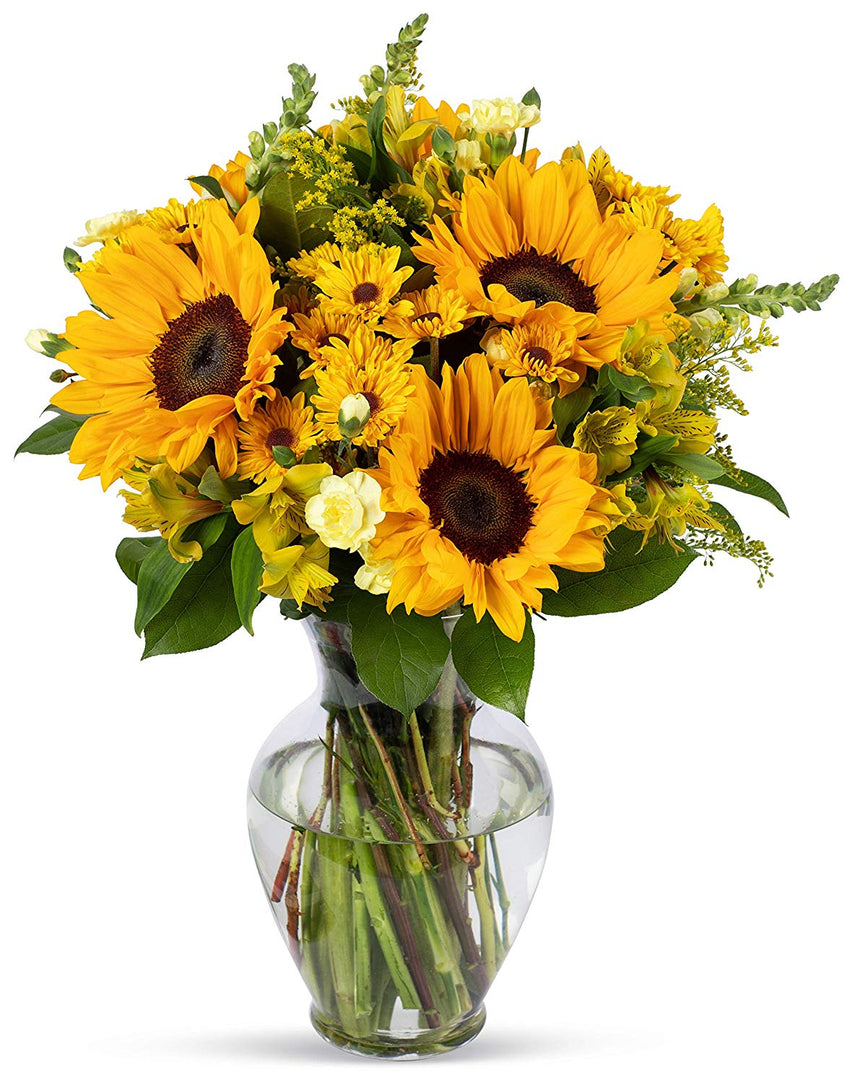 Benchmark Bouquets Rays of Sunshine, With Vase (Fresh Cut Flowers)