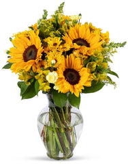 Benchmark Bouquets Rays of Sunshine, With Vase (Fresh Cut Flowers)